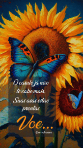 23 Lições das borboletas sobre transformação e paciência