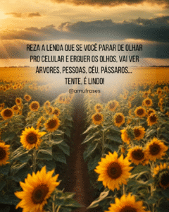 Frases que refletem o mundo de hoje